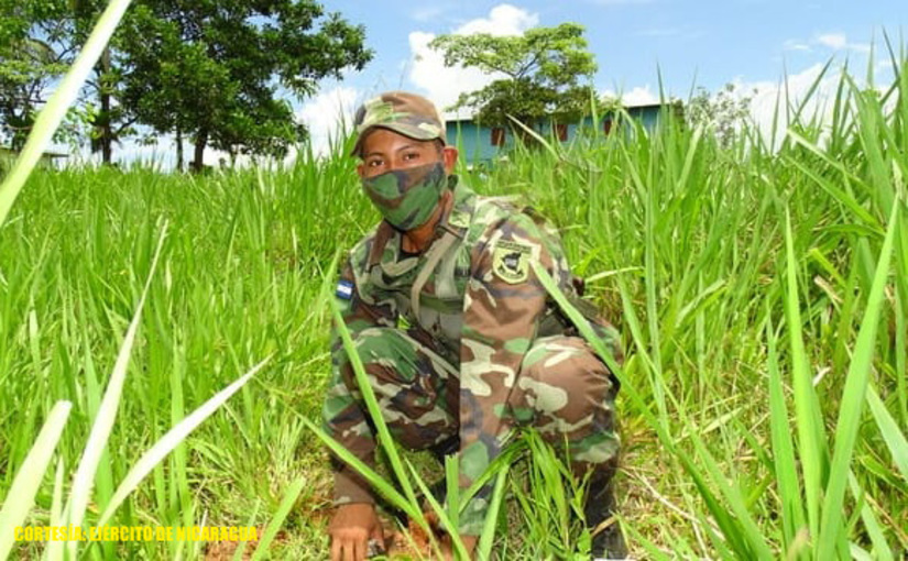 jornada-reforestacion